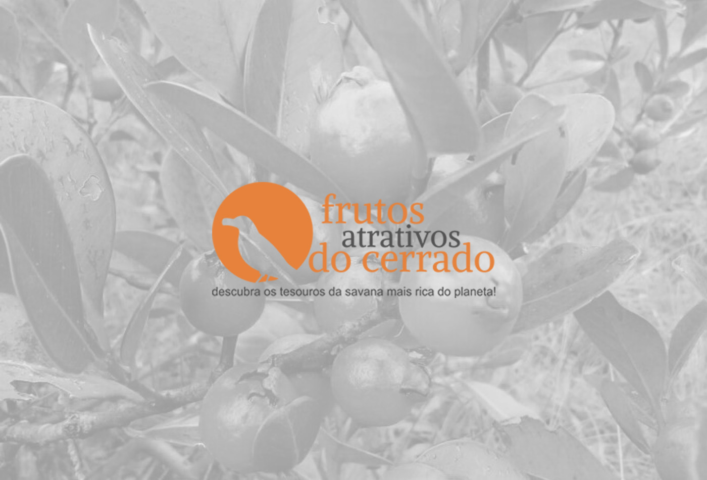 Wesbsite Talentus Esquadrias