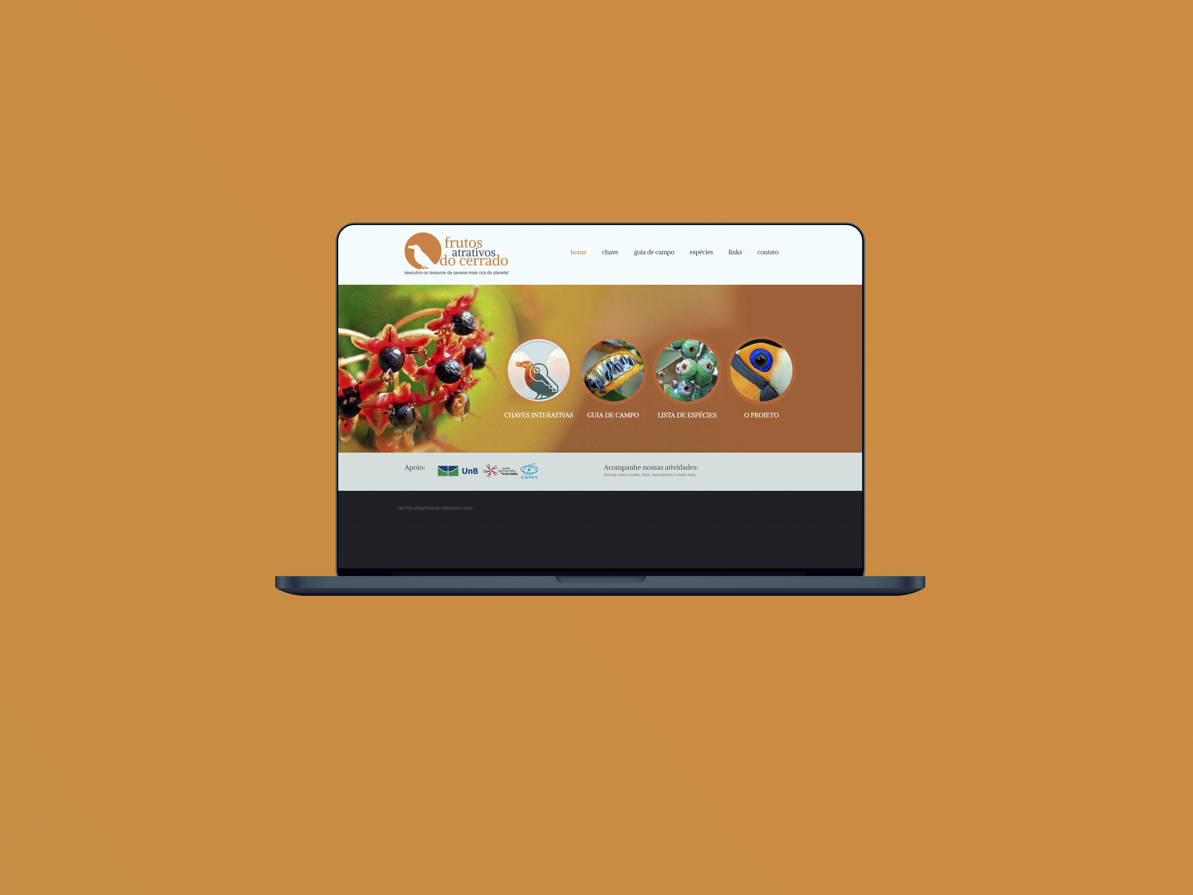 Frutos Nativos do Cerrado