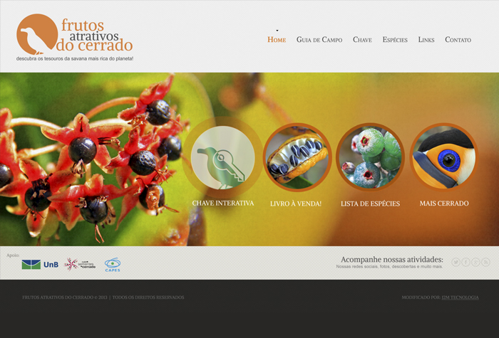 Website Frutos Atrativos do Cerrado